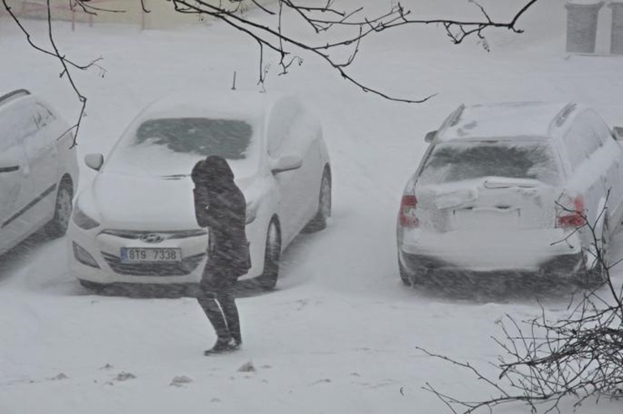 foto profimedia, ilustracija