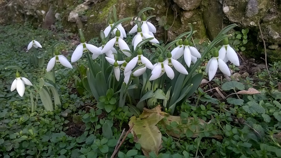 Фото: ТопПрес