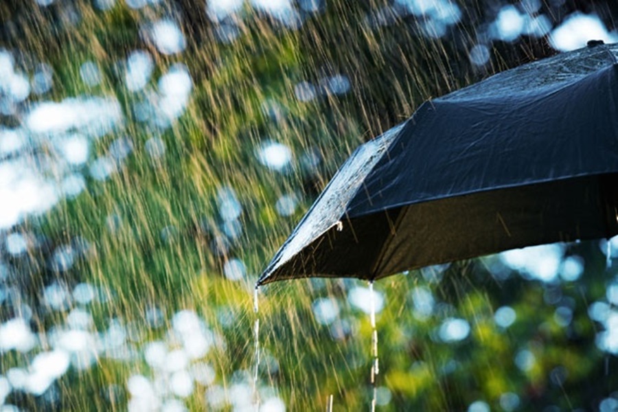 Фото: Thinkstock