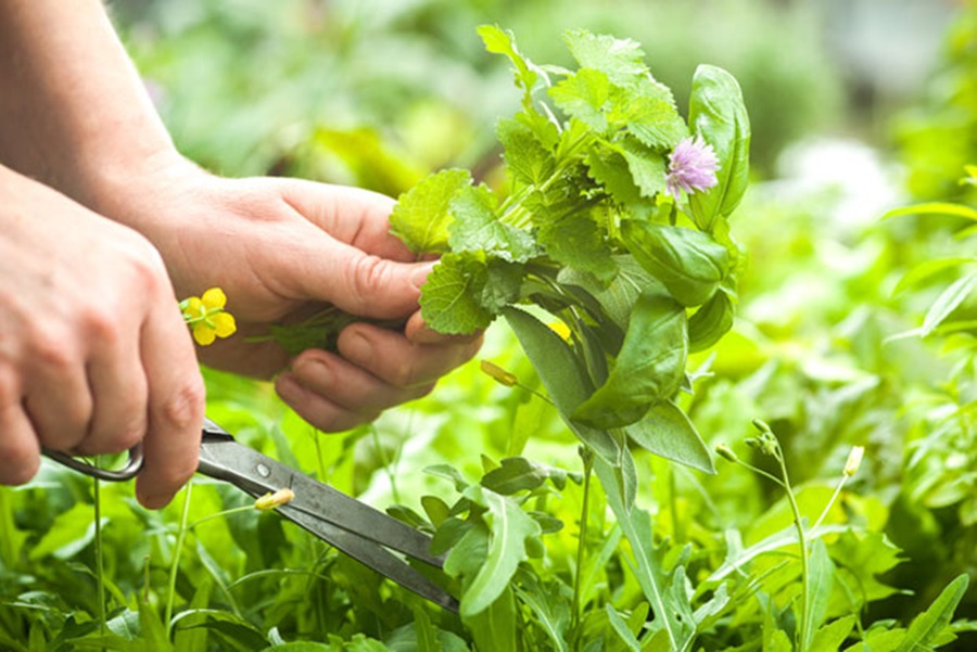 foto- Thinkstock