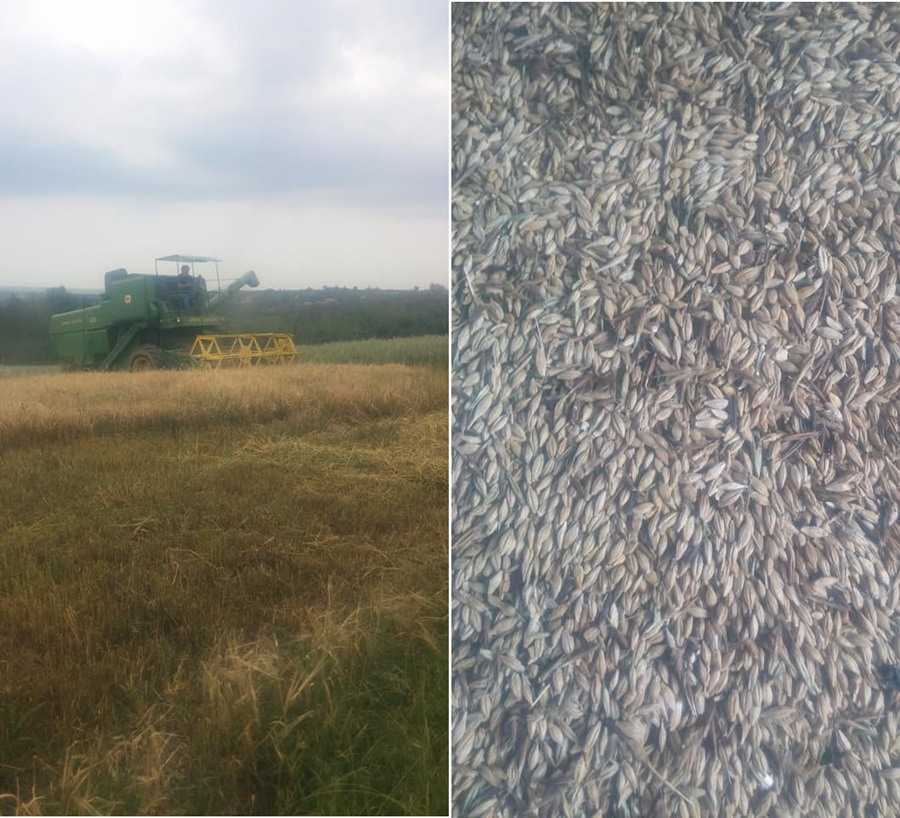 Фото: Драган Јовановић