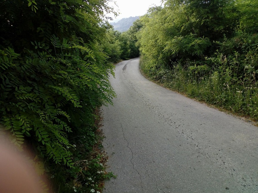 Фото: Бојан Мијаиловић